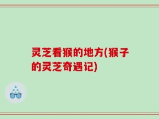 灵芝看猴的地方(猴子的灵芝奇遇记)