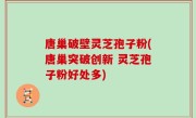 唐巢破壁灵芝孢子粉(唐巢突破创新 灵芝孢子粉好处多)