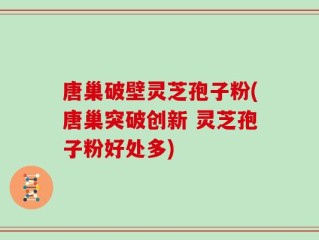 唐巢破壁灵芝孢子粉(唐巢突破创新 灵芝孢子粉好处多)