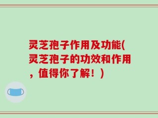 灵芝孢子作用及功能(灵芝孢子的功效和作用，值得你了解！)