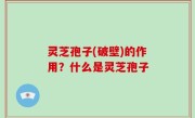 灵芝孢子(破壁)的作用？什么是灵芝孢子