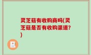 灵芝菇有收购商吗(灵芝菇是否有收购渠道？)
