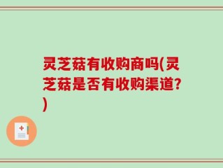 灵芝菇有收购商吗(灵芝菇是否有收购渠道？)