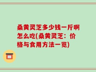 桑黄灵芝多少钱一斤啊怎么吃(桑黄灵芝：价格与食用方法一览)
