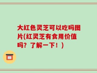 大红色灵芝可以吃吗图片(红灵芝有食用价值吗？了解一下！)
