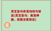灵芝首乌养发功效与禁忌(灵芝首乌：美发神器，但需注意禁忌)