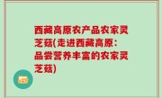 西藏高原农产品农家灵芝菇(走进西藏高原：品尝营养丰富的农家灵芝菇)