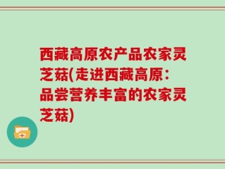 西藏高原农产品农家灵芝菇(走进西藏高原：品尝营养丰富的农家灵芝菇)