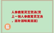 人参鹿茸灵芝煲汤(煲上一锅人参鹿茸灵芝汤，滋补滋味美滋滋)