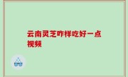 云南灵芝咋样吃好一点视频