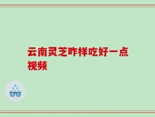 云南灵芝咋样吃好一点视频