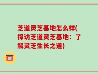 芝道灵芝基地怎么样(探访芝道灵芝基地：了解灵芝生长之道)