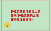 种植灵芝有没有泥土的要求(种植灵芝的土壤要求及注意事项)