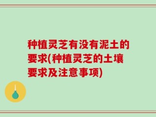 种植灵芝有没有泥土的要求(种植灵芝的土壤要求及注意事项)