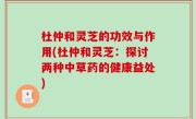 杜仲和灵芝的功效与作用(杜仲和灵芝：探讨两种中草药的健康益处)