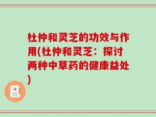 杜仲和灵芝的功效与作用(杜仲和灵芝：探讨两种中草药的健康益处)