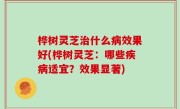 桦树灵芝治什么病效果好(桦树灵芝：哪些疾病适宜？效果显著)