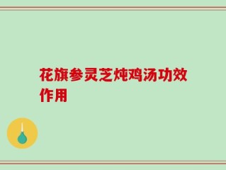花旗参灵芝炖鸡汤功效作用
