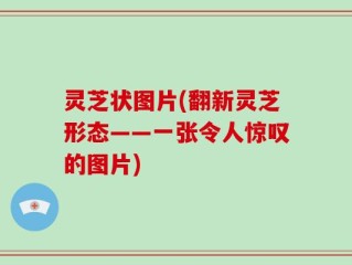 灵芝状图片(翻新灵芝形态——一张令人惊叹的图片)