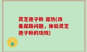灵芝孢子粉 尿热(改善尿路问题，体验灵芝孢子粉的功效)