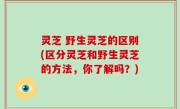 灵芝 野生灵芝的区别(区分灵芝和野生灵芝的方法，你了解吗？)
