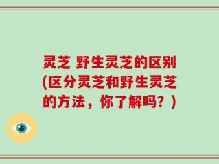 灵芝 野生灵芝的区别(区分灵芝和野生灵芝的方法，你了解吗？)
