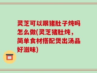 灵芝可以跟猪肚子炖吗怎么做(灵芝猪肚炖，简单食材搭配煲出汤品好滋味)