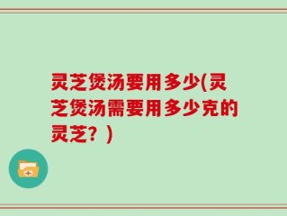 灵芝煲汤要用多少(灵芝煲汤需要用多少克的灵芝？)