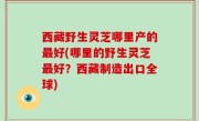 西藏野生灵芝哪里产的最好(哪里的野生灵芝最好？西藏制造出口全球)
