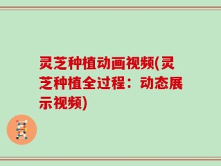 灵芝种植动画视频(灵芝种植全过程：动态展示视频)