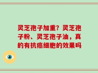 灵芝孢子加重？灵芝孢子粉、灵芝孢子油，真的有抗癌细胞的效果吗