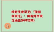 纯野生老灵芝(「佳丽丝灵芝」：稀有野生灵芝涵盖多种功效)
