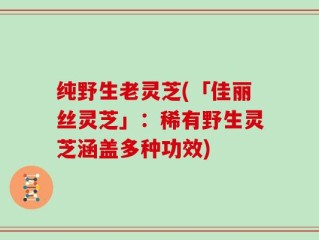 纯野生老灵芝(「佳丽丝灵芝」：稀有野生灵芝涵盖多种功效)