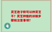 灵芝孢子粉可以种灵芝不？灵芝种植的详细步骤和注意事项？
