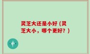 灵芝大还是小好 (灵芝大小，哪个更好？)