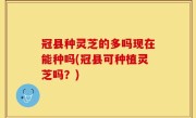 冠县种灵芝的多吗现在能种吗(冠县可种植灵芝吗？)