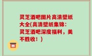 灵芝酒吧图片高清壁纸大全(高清壁纸集锦：灵芝酒吧深度福利，美不胜收！)