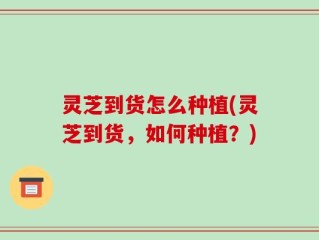 灵芝到货怎么种植(灵芝到货，如何种植？)