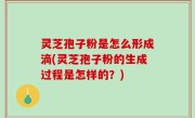 灵芝孢子粉是怎么形成滴(灵芝孢子粉的生成过程是怎样的？)