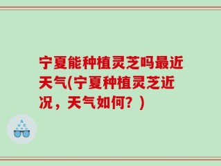 宁夏能种植灵芝吗最近天气(宁夏种植灵芝近况，天气如何？)