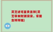 灵芝进宅富贵吉祥(灵芝带来财源滚滚，家居吉祥祥瑞)