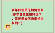 多年野生灵芝如何生长(多年自然生态环境下，灵芝是如何培育并生长的？)