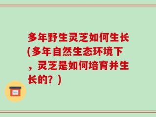多年野生灵芝如何生长(多年自然生态环境下，灵芝是如何培育并生长的？)