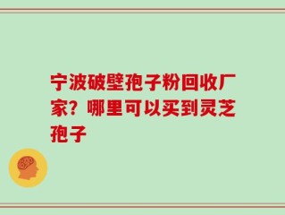 宁波破壁孢子粉回收厂家？哪里可以买到灵芝孢子