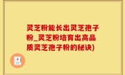 灵芝粉能长出灵芝孢子粉_灵芝粉培育出高品质灵芝孢子粉的秘诀)