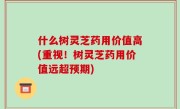 什么树灵芝药用价值高(重视！树灵芝药用价值远超预期)