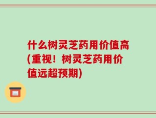 什么树灵芝药用价值高(重视！树灵芝药用价值远超预期)