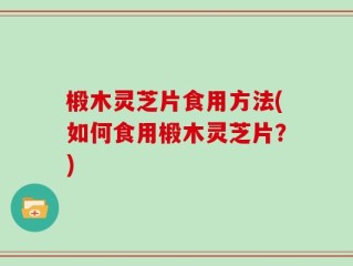 椴木灵芝片食用方法(如何食用椴木灵芝片？)