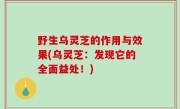 野生乌灵芝的作用与效果(乌灵芝：发现它的全面益处！)