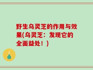 野生乌灵芝的作用与效果(乌灵芝：发现它的全面益处！)